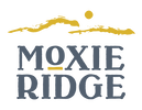 MOXIE RIDGE - NEW HOMES IN BOISE IDAHO